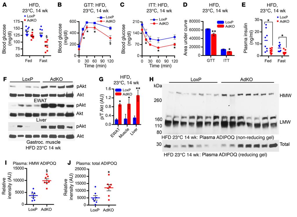 The Journal of Clinical Investigation RESEARCH ARTICLE Figure 3. Adipocyte-specific Ip6k1 deletion protects mice from HFD-induced insulin resistance.
