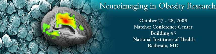 Symposium at 6th annual meeting of ISBNPA: Neuroimaging and its