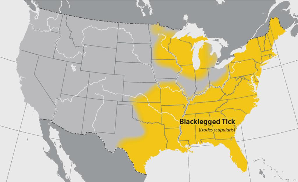 2 Journal of Parasitology Research Figure 1: Geographic distribution of I. scapularis within the continental United States. Yellow shaded areas represent the distribution of I.