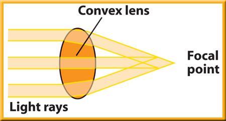 The Senses 2 Lenses The lens in your eye refracts light