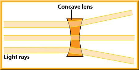 The Senses 2 Lenses A lens that is thicker at its edges than in its middle is
