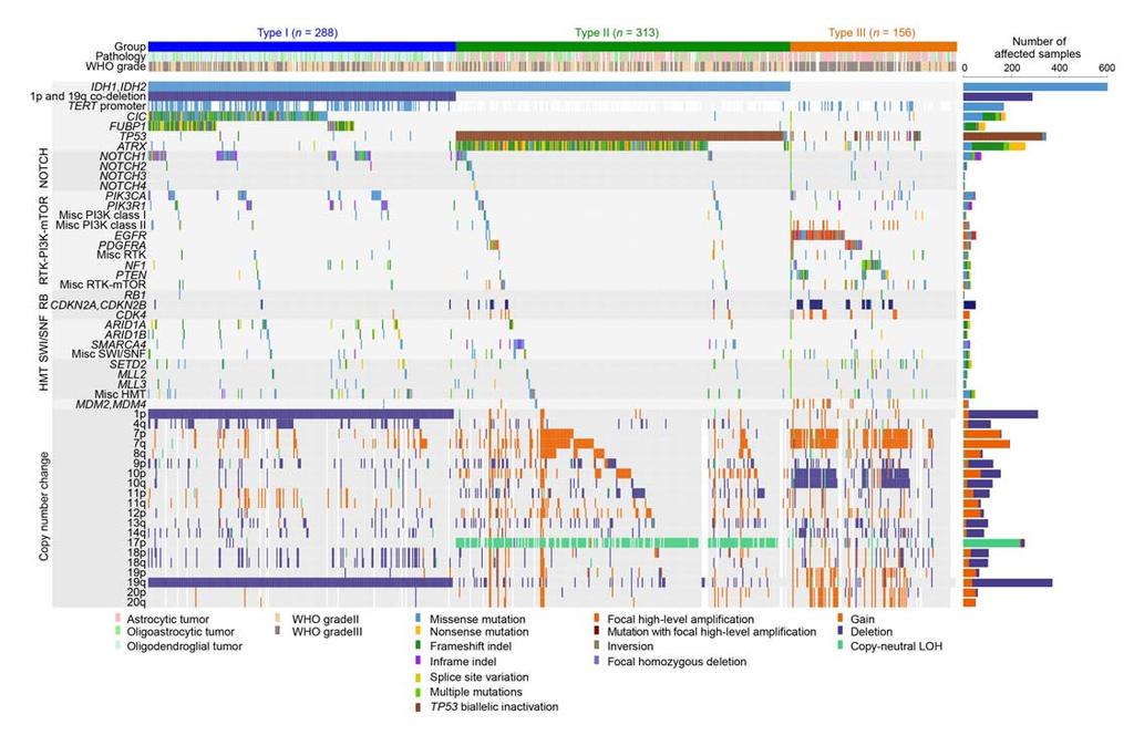 Supplementary Figure 5 Genetic landscape of 757 grade II and III glioma cases from the