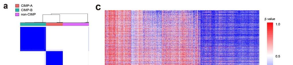 Supplementary Figure 7 DNA methylation analysis of grade II and III gliomas