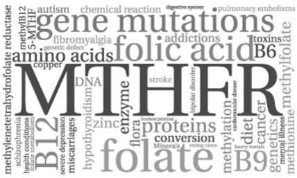How Well Do You Methylate?