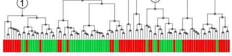 Korištenje algoritma za hijerarhijsko klasteriranje korištenjem promatranih ishoda ukazalo je na veliku raznolikost istraživanog uzorka (Slika 8). (Wessa 2008.