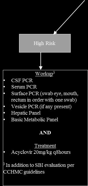 Workup 3 CSF PCR Serum PCR Surface PCR (swab eye, mouth, rectum in order with one swab) Vesicle PCR (if any present) Hepatic Panel Basic Metabolic Panel AND Treatment Acyclovir 20mg/kg q8hours 3 In