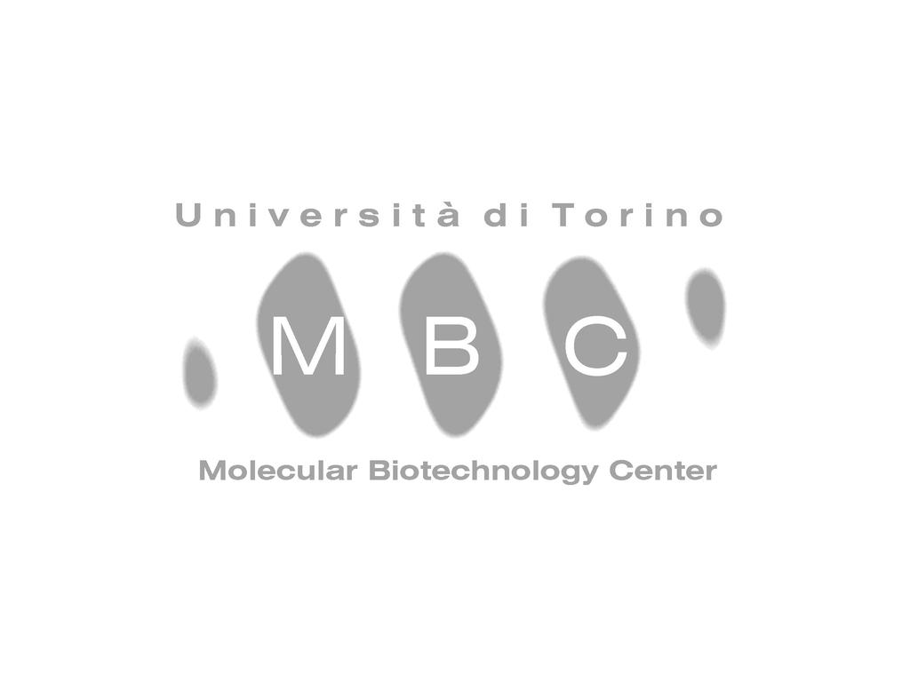 Aggiornamento biotecnologico: MoAb anti VEGF Age-related