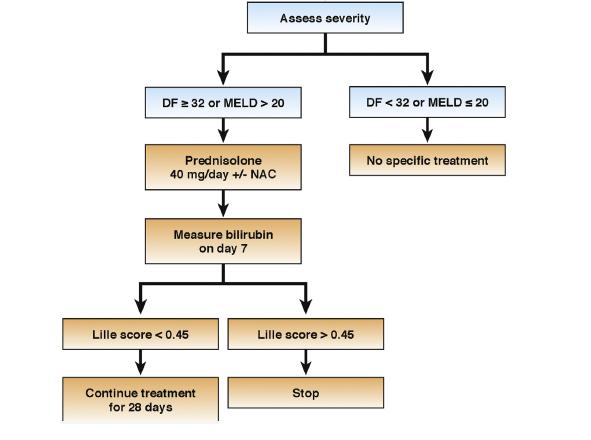 Proposed Treatment Algorithm for Severe Alcoholic Hepatitis Steroid