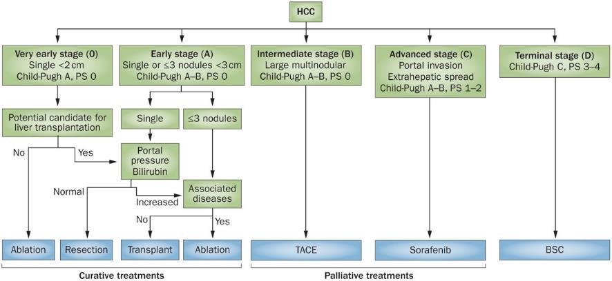 Liver Transplantation for HCC Usually occurs on the background of liver cirrhosis (except CHB)