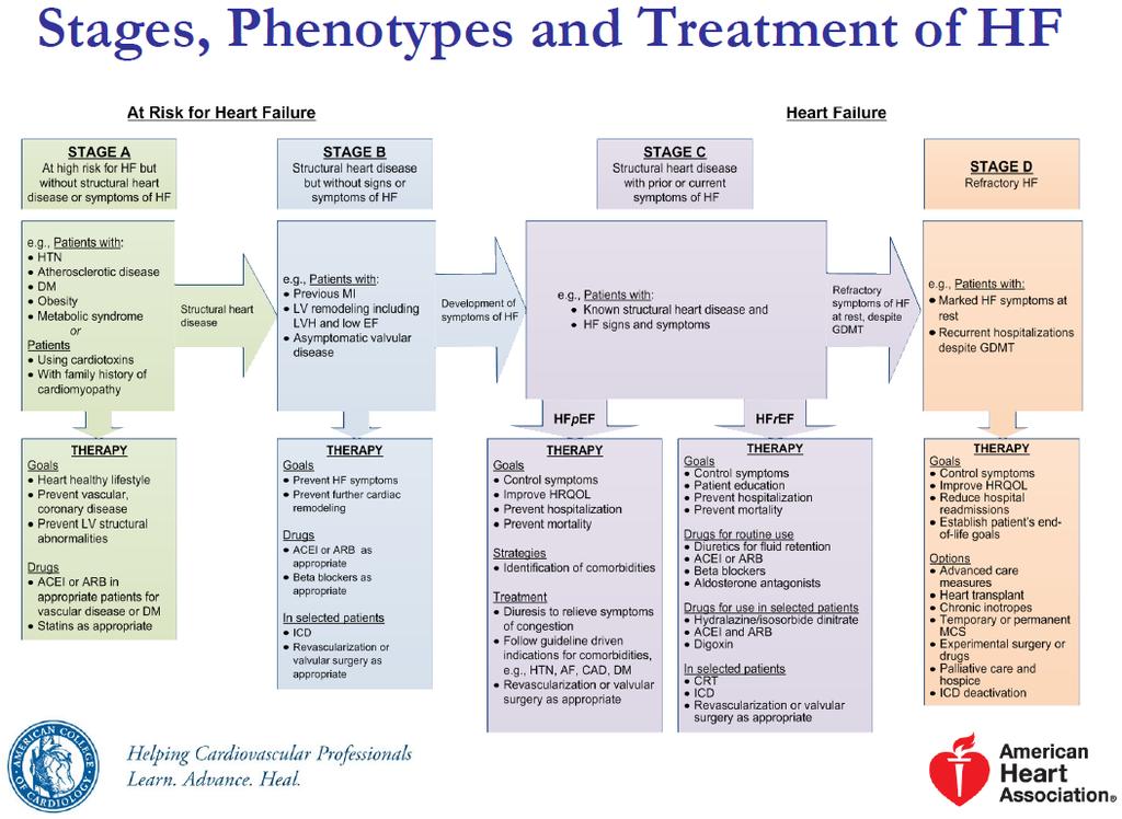AzPCP Clinical Practice Guideline on
