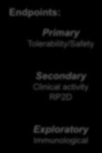 year dosing Primary Tolerability/Safety Secondary Clinical activity RP2D Exploratory Immunological In