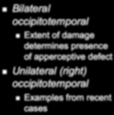 Lesion Profile in Prosopagnosia Bilateral
