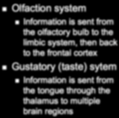 Gustatory (taste) sytem Information is sent from the tongue through the