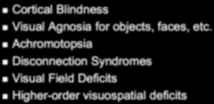 Visual System Deficits Cortical Blindness Visual Agnosia for
