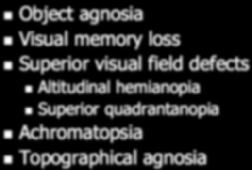 with object agnosia May take apperceptive and associative forms Frequent Co-existing Signs Object agnosia