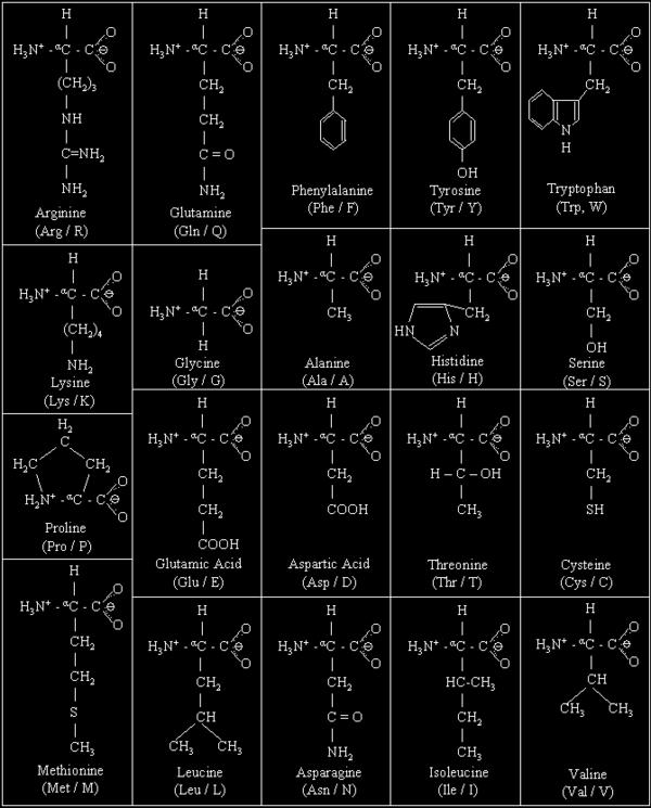 acids and so there