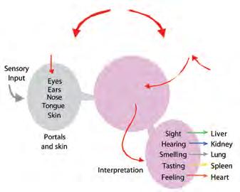 Traumatic Stress: Management of Physical and Psychological Trauma with Acupuncture Shen is responsible for the overall functioning of the Brain nao manifesting as: shen Light guang : Mind in its