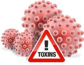 Toxin A toxin is any substance that causes excess stress to the body Toxic load refers to the volume toxins that have accumulated in the body