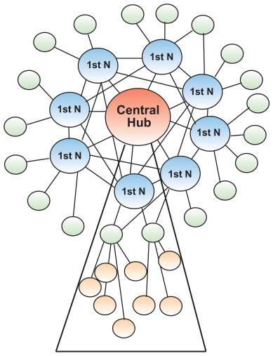 Gene Network Ojeda SR, et al.