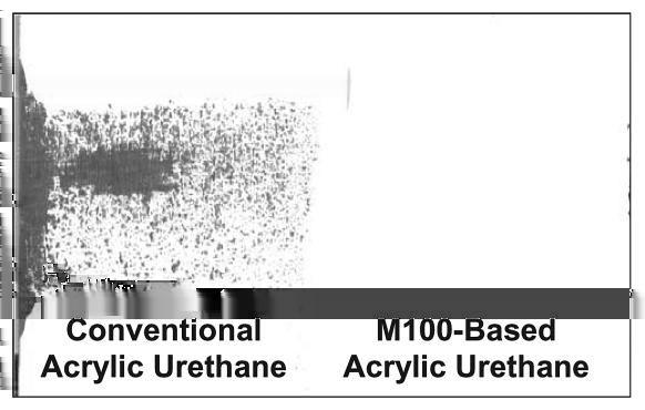 Figure 2: Photograph of 2K urethane topcoats based on M100 and