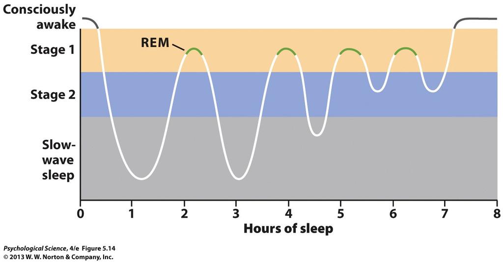 LP 3A sleep deprivation 6 What do Psychologists Know about the Function of Sleep?