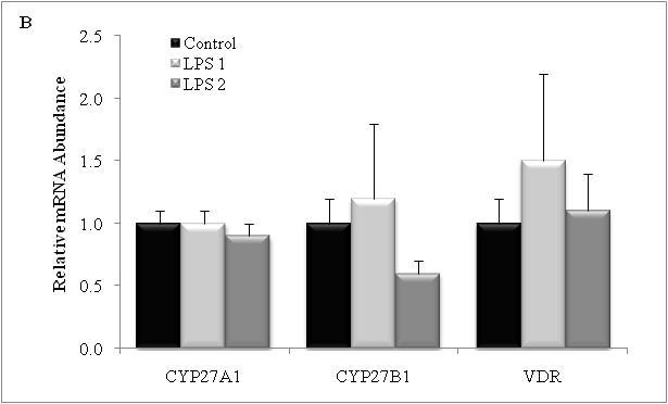 CYP27A1, CYP27B1, and VDR following 30 Days of LPS Treatment.