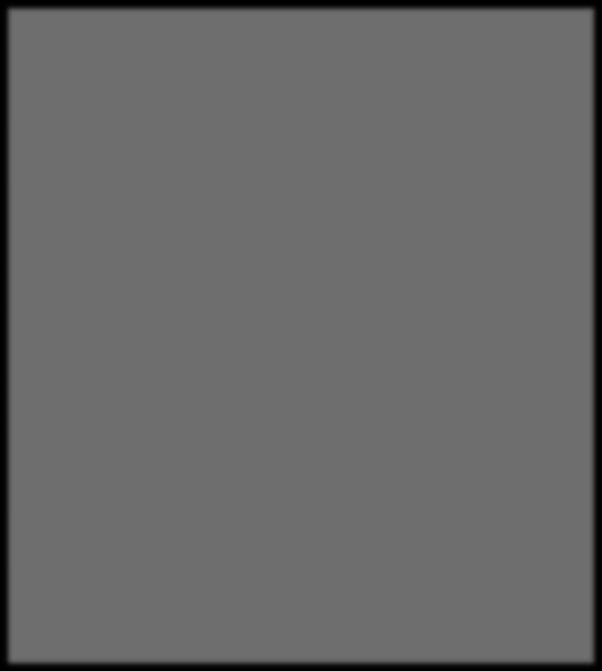 Wolbachia pipientis