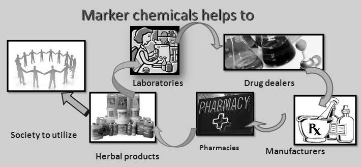 8 profile of the marker compounds in plant drugs which shows the presence/percentage of the active principle along with the closely related bioactive principles is necessary for all herbal