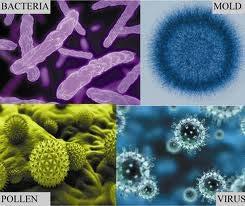 Bioaerosols Mixture of solid or liquid particles in air containing whole or parts of biological materials.
