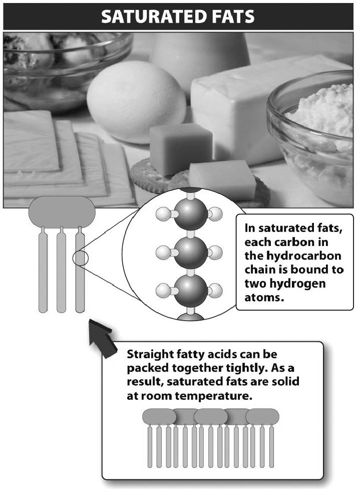 Saturated fats fat molecule with the maximum # of H atoms most animal