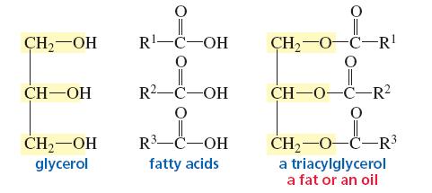 Oils and fats Fatty acid esters of the trihydric alcohol glycerol are called