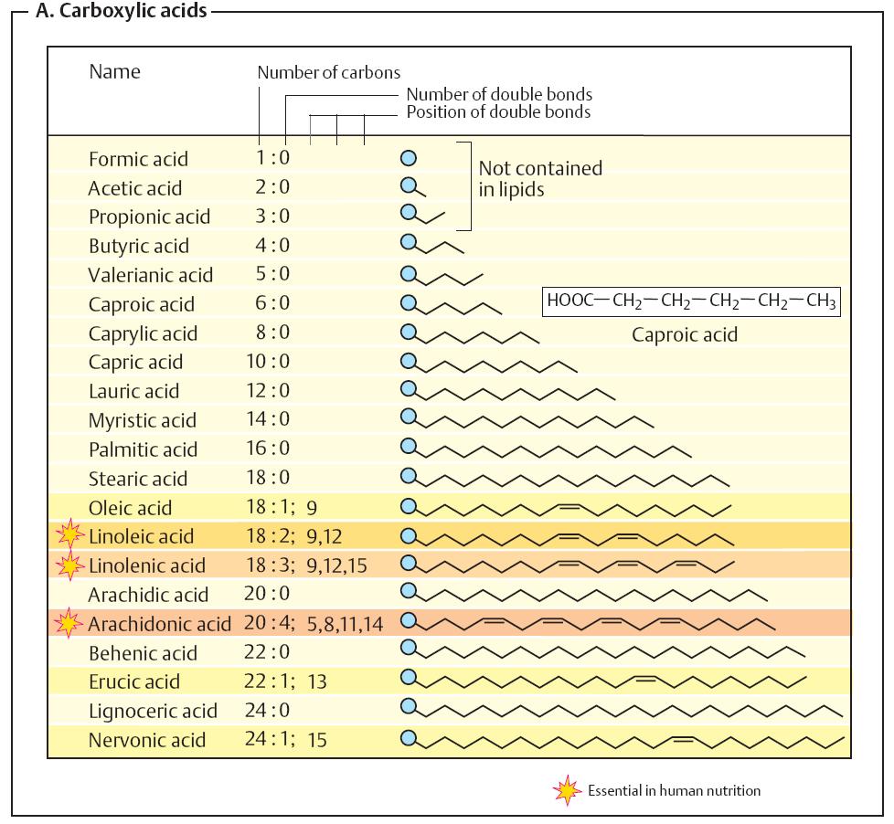 Fatty acids found in lipids mostly contain even number of carbons and cis double bonds.