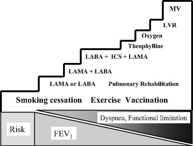 Manage exacerbations LAMA =LA muscarinic agent LVR = lung volume