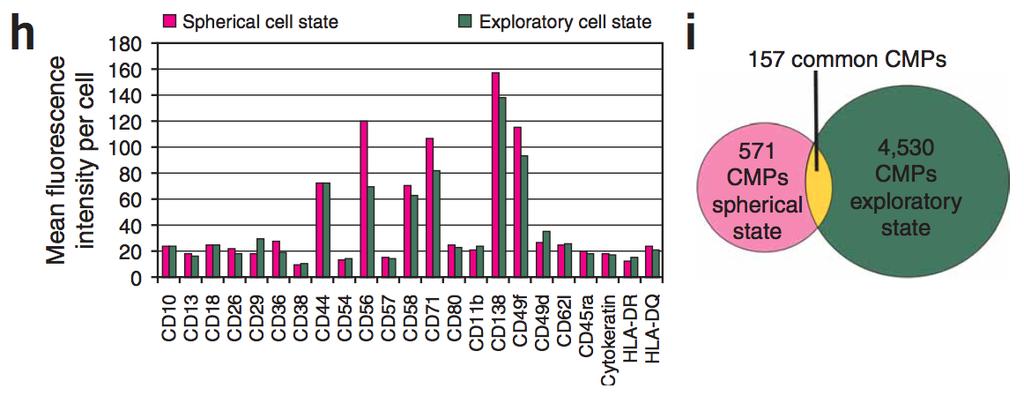 Multi-epitope-ligand cartography (MELC) Paper 1 Identification of functional protein networks: Investigation of 23 cell surface proteins in the rhabdomyosarcoma cell line TE671 4 CMPs were present