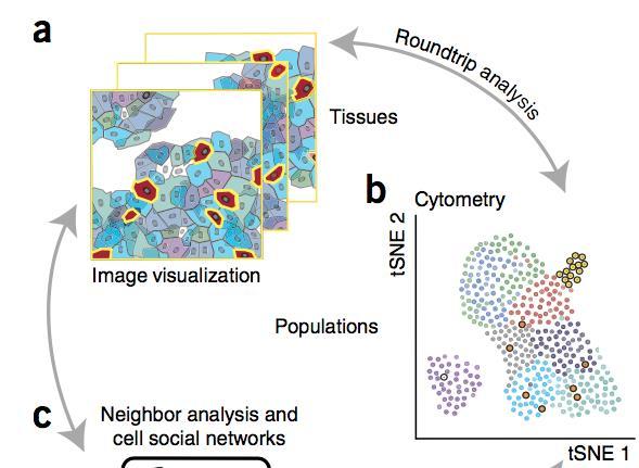 Why spatially resolved multiparametric single cell analysis?