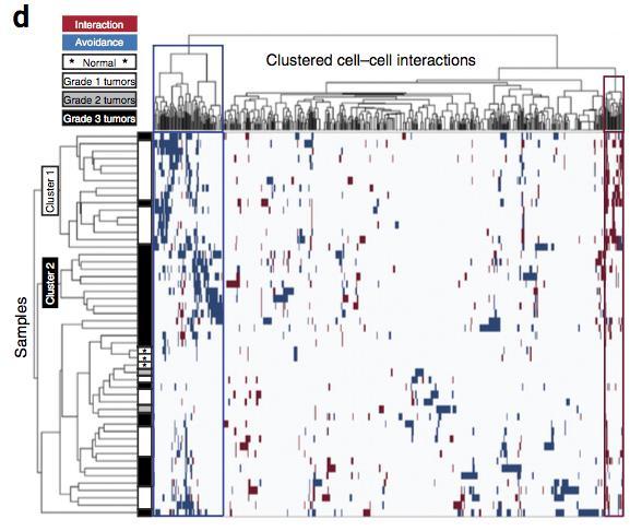 Histology topography cytometry analysis toolbox (histocat) Paper 3 Analysis example: histocat has two neighborhood functions enabled that enable the investigation of the