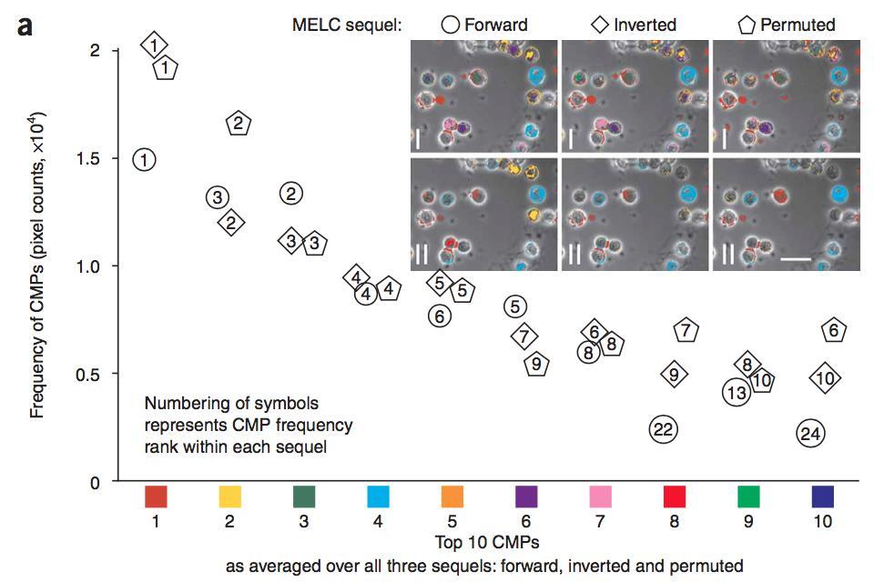 Multi-epitope-ligand cartography (MELC) Paper 1 Does the staining