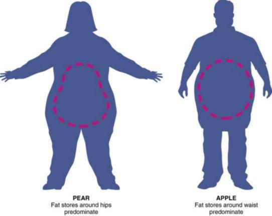 Waist to Hip Ratio (WHR) ---------> Issues Related to Overweight and Obesity Obese people are four