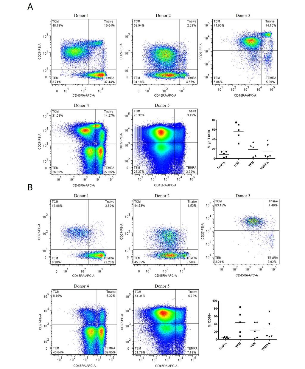 Figure 6.3 CD16+ γδ T cells present in the blood of healthy donors preferentially display an effector memory T cell phenotype.