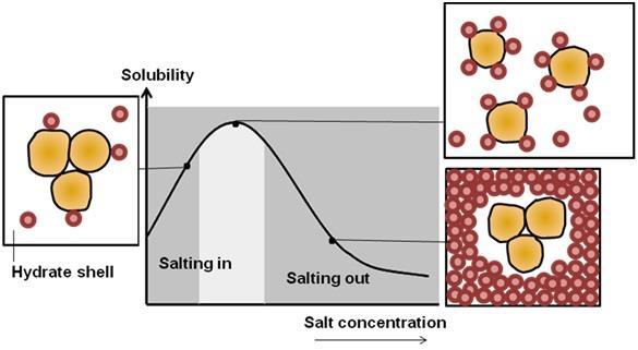 2-Principle: The low salt concentration solutions make protein solubility easier using the attraction of salt ions to the functional groups of the protein.