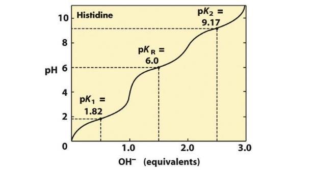 Questions: 1) Draw the titration curve of histidine. Using the pka values: pka1= 1.82, pkr= 6 and pka2= 9.