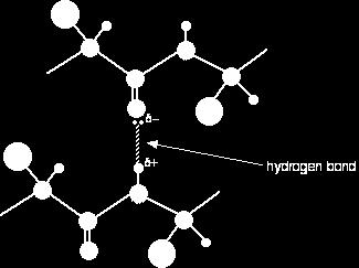 Peptide Bond The linkage between two amino acids (between the alpha carboxyl group and the amine group of another amino acid) as a result of a condensation reaction where a H2O molecule is