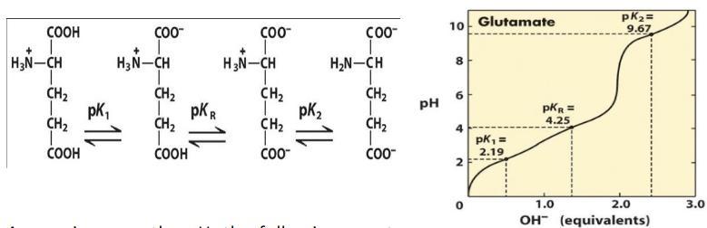 Example 1: Glutamic Acid Glutamic acid has a carboxyl group, which is ionizable, in its side chain.