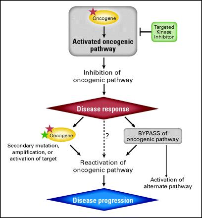 Kinase oncogene dependence and principles of drug