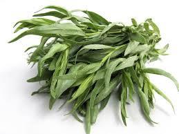Tarragon Stimulates appetite Helps with gas and flatulence Helps stimulate bile in the liver Helps with toothaches High in phytonutrients and antioxidants Supports