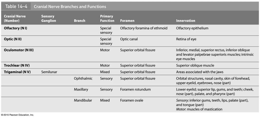 Cranial Nerve Table 14-4 (part 1)!