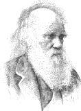 Darwin Awards Named in honor of Charles Darwin, the father of evolution, the Darwin Awards