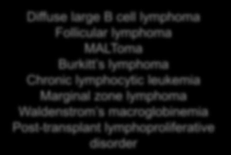 MALToma Burkitt s lymphoma Chronic lymphocytic