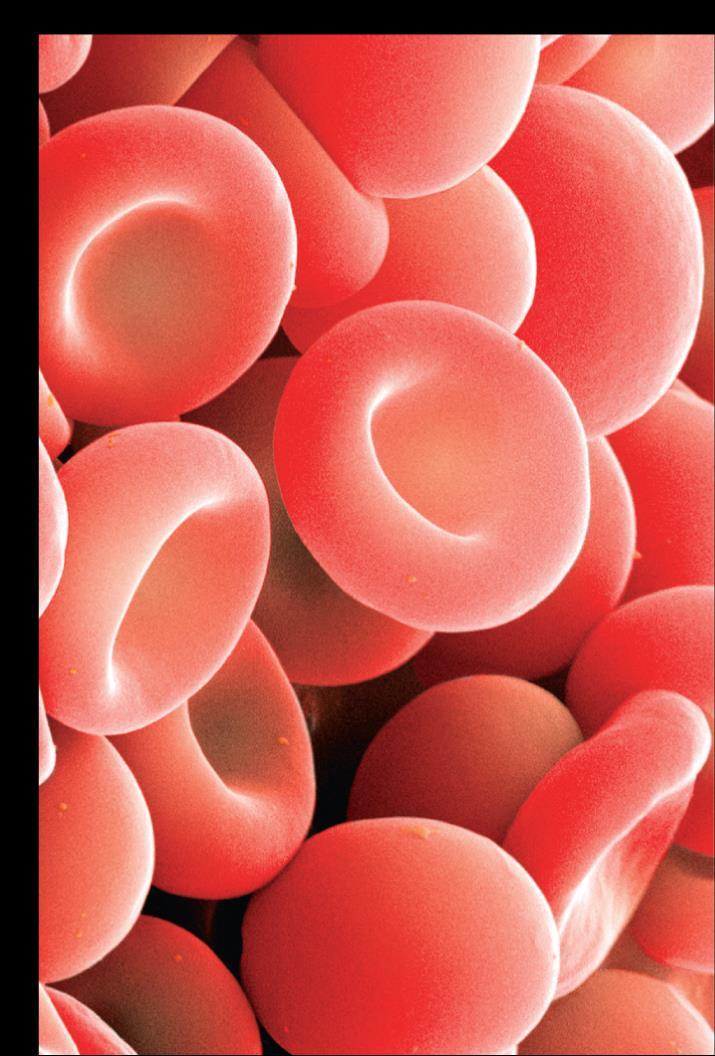 6.2 Red Blood Cells and Transport of Oxygen The structure of