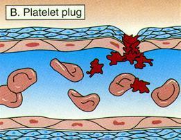 Hemostasis- prevention of blood loss from broken vessel Formation of a platelet plug - platelets aggregate at the point where a vessel ruptures. This occurs because platelets are exposed to collagen.
